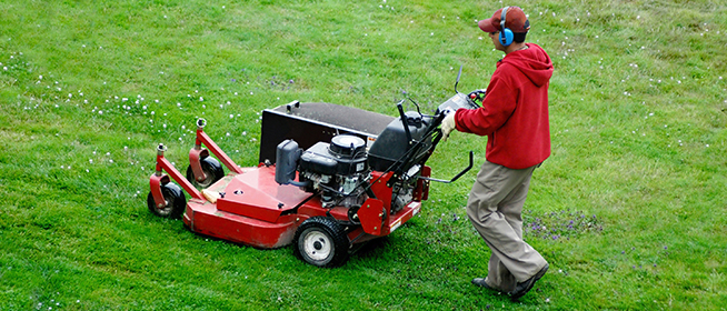Lawn Mower