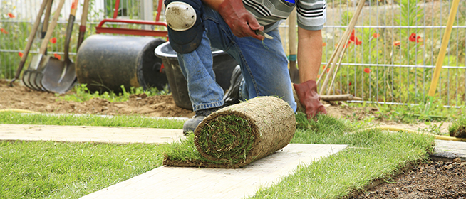 Sod Cutter